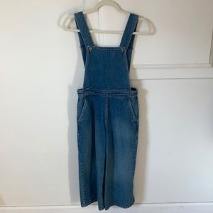 Pacsun Denim Overalls